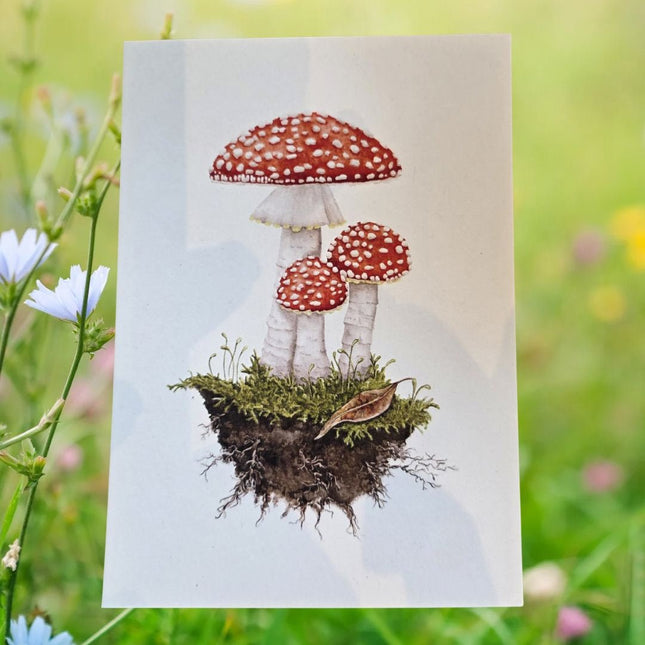 SEO. Postkarte Fliegenpilz - Linkreich