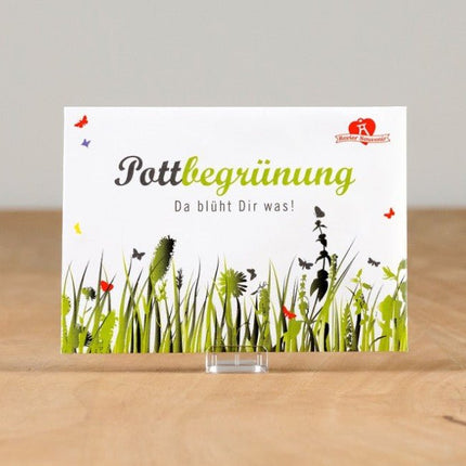SEO. Pottbegrünung – Samentütchen - Linkreich