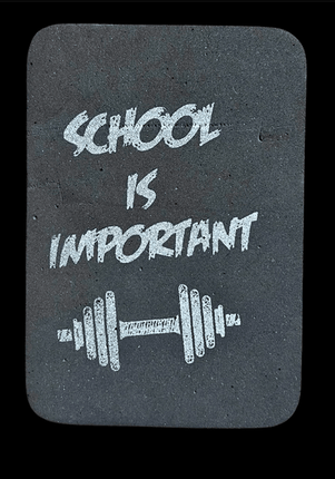 SEO. PowerGrip Handflächenschützer - Griffpolster "School" C.P. Sports - F17 - Linkreich