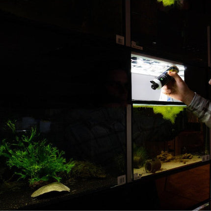 Premium Shrimp Humin 250 ml | Huminstoffe für Zwerggarnelen | Made in Germany