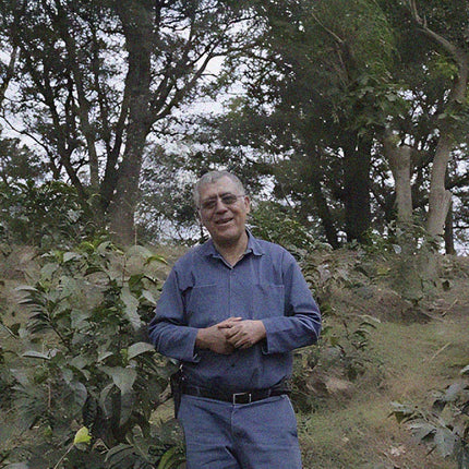 Alfonso Pineda