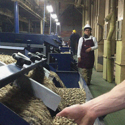 Popayán Decaf