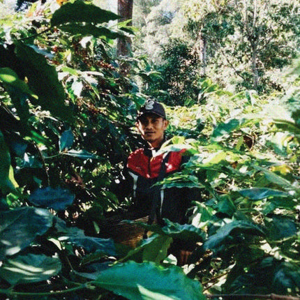 Supriyanto