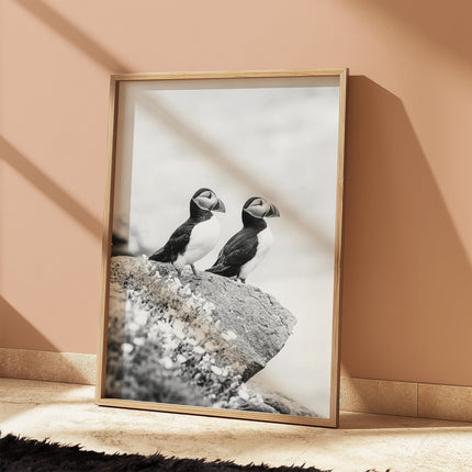 Black and White Puffins Print – Wildlife Photography Wall Art