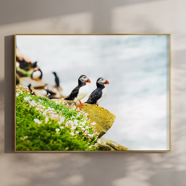 Puffins on Saltee Island – Irish Coastal Wildlife Wall Art