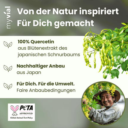 SEO. Quercetin Kapseln - Einzeln Linkreich