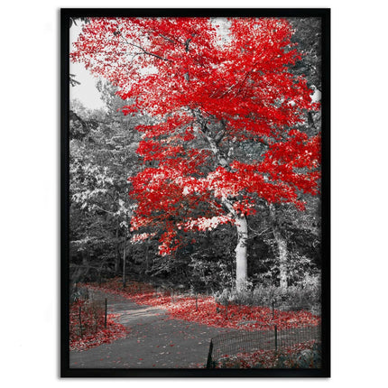 Red Autumn - Leinwandbild Landschaft (Canvas) kaufen bei Linkreich – Jetzt entdecken!