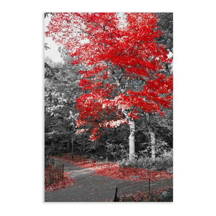 Red Autumn - Leinwandbild Landschaft (Canvas) kaufen bei Linkreich – Jetzt entdecken!
