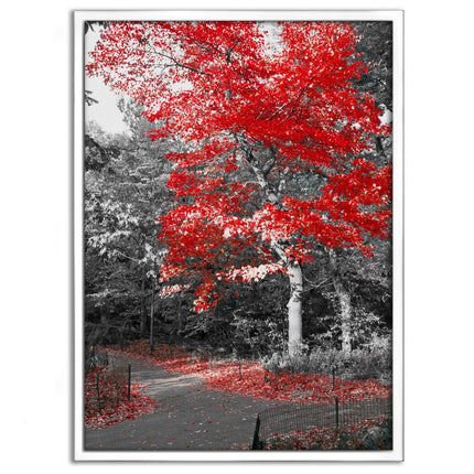 Red Autumn - Leinwandbild Landschaft (Canvas) kaufen bei Linkreich – Jetzt entdecken!