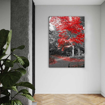 Red Autumn - Leinwandbild Landschaft (Canvas) kaufen bei Linkreich – Jetzt entdecken!