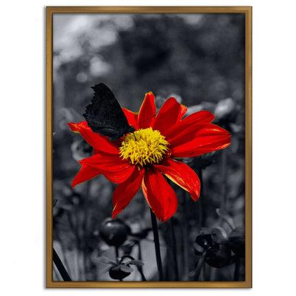 Red Flower - Leinwandbild Landschaft (Canvas) kaufen bei Linkreich – Jetzt entdecken!
