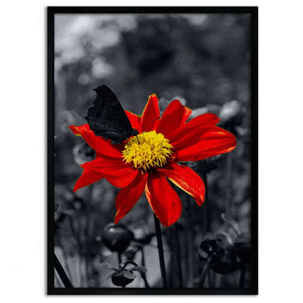 Red Flower - Leinwandbild Landschaft (Canvas) kaufen bei Linkreich – Jetzt entdecken!