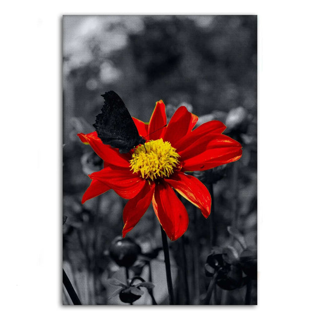 Red Flower - Leinwandbild Landschaft (Canvas) kaufen bei Linkreich – Jetzt entdecken!