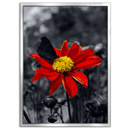 Red Flower - Leinwandbild Landschaft (Canvas) kaufen bei Linkreich – Jetzt entdecken!