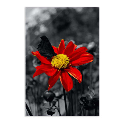 Red Flower - Leinwandbild Landschaft (Canvas) kaufen bei Linkreich – Jetzt entdecken!