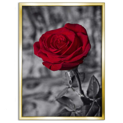 Red Rose - Leinwandbild Landschaft (Canvas) kaufen bei Linkreich – Jetzt entdecken!