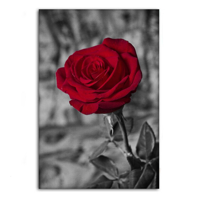 Red Rose - Leinwandbild Landschaft (Canvas) kaufen bei Linkreich – Jetzt entdecken!