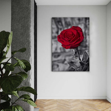 Red Rose - Leinwandbild Landschaft (Canvas) kaufen bei Linkreich – Jetzt entdecken!