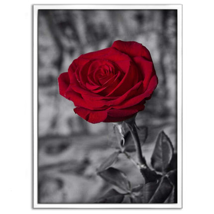 Red Rose - Leinwandbild Landschaft (Canvas) kaufen bei Linkreich – Jetzt entdecken!