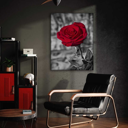 Red Rose - Leinwandbild Landschaft (Canvas) kaufen bei Linkreich – Jetzt entdecken!
