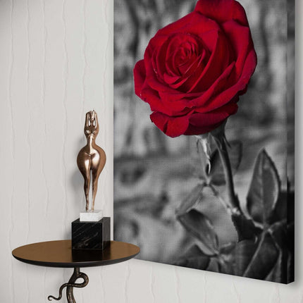 Red Rose - Leinwandbild Landschaft (Canvas) kaufen bei Linkreich – Jetzt entdecken!