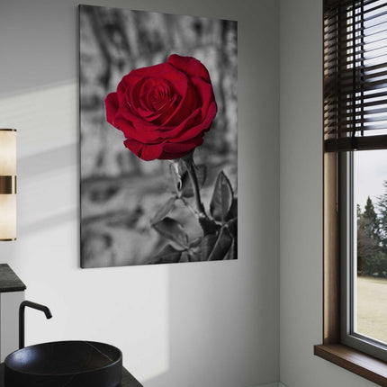 Red Rose - Leinwandbild Landschaft (Canvas) kaufen bei Linkreich – Jetzt entdecken!