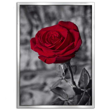 Red Rose - Leinwandbild Landschaft (Canvas) kaufen bei Linkreich – Jetzt entdecken!