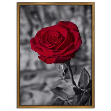 Red Rose - Leinwandbild Landschaft (Canvas) kaufen bei Linkreich – Jetzt entdecken!