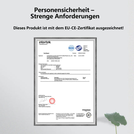 ROCKBROS Fahrradhelm Integrierter Rennradhelm Magnetische Schnalle EPS+PC (Fahrradhelme) kaufen bei Linkreich – Jetzt entdecken!