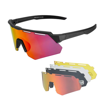 ROCKBROS Polarisierte Fahrradbrille mit 4 Wechselgläser (Fahrradbrille) kaufen bei Linkreich – Jetzt entdecken!