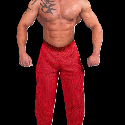 Gym-Hose - Trainings Hose - Bodybuilding Hose und Freizeithose