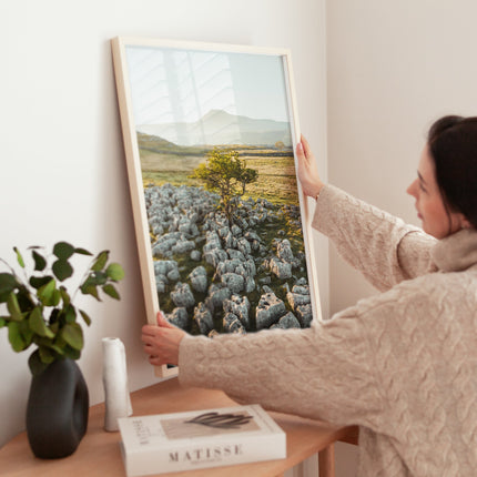 Lone Tree, Ingleborough – Yorkshire Dales Wall Art Print