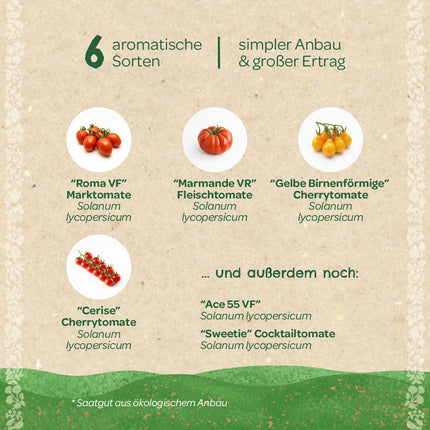 BIO-Saatgut-Set "Tomaten"