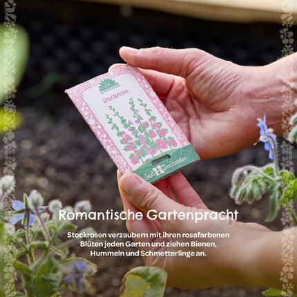 Saatgut Stockrose