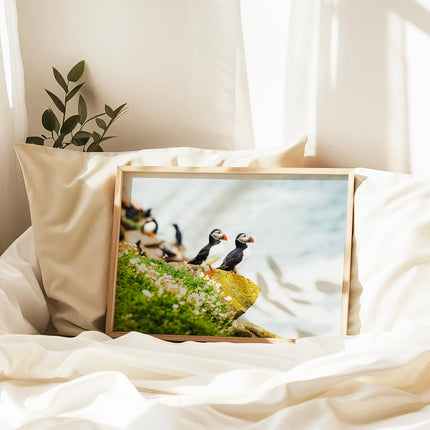 Puffins on Saltee Island – Irish Coastal Wildlife Wall Art