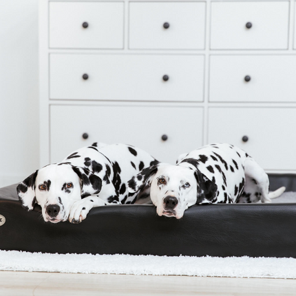 Hundebett KUDDE Kunstleder