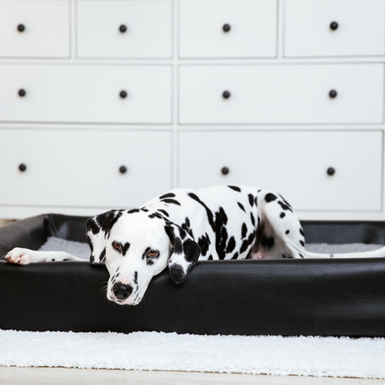 Hundebett KUDDE Kunstleder