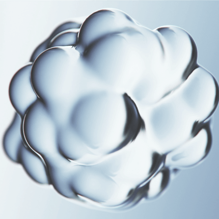 Cognitive Support Supplement – NEUROGUARD+ Capsule Formula