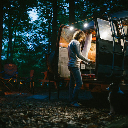 BioLite SiteLight Duo