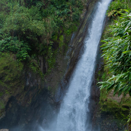 Costa Rica - Diego Robelo - Centroamericano Anaerobic Natural