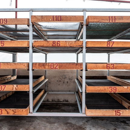 Costa Rica - Diego Robelo - Centroamericano Anaerobic Natural