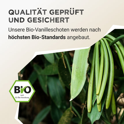 SEO. Spice Powder Vanilla - 25 g Linkreich