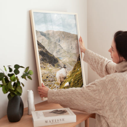 Old Man of Coniston Herdwick Sheep Print – Lake District Wall Art