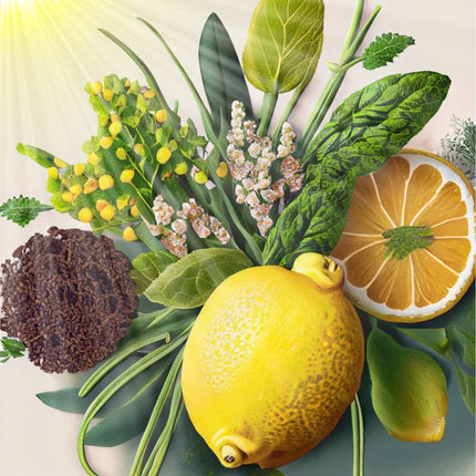 Bio ätherisches Öl „Sunshine in a Bottle“ – Sonnige Frische & neue Energie
