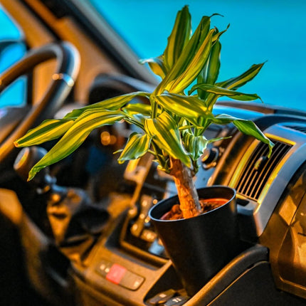 SEO. The Pot Holder and Flower Pot Kit Magnetic – Offrotie 3D Printed – Portable for Vanlife - Stone Beige Linkreich
