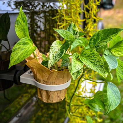 SEO. The Ring – Magnetic Plant Holder ø100mm – Offrotie 3D Printed – Portable for Vanlife - Stone Beige Linkreich