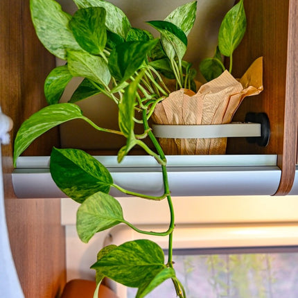 SEO. The Ring – Magnetic Plant Holder ø100mm – Offrotie 3D Printed – Portable for Vanlife - Stone Beige Linkreich