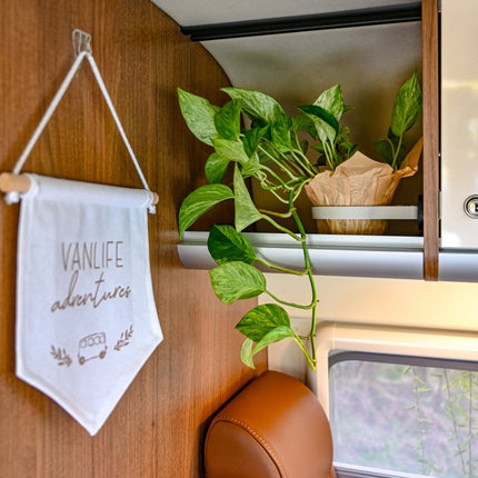 SEO. The Ring – Magnetic Plant Holder ø100mm – Offrotie 3D Printed – Portable for Vanlife - Stone Beige Linkreich