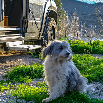 SEO. The Star | Ring | Triangle Nuts Magnetic – Offrotie Mounting System – Vanlife and Overlander Organizer - Triangle Linkreich