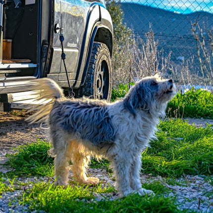 SEO. The Star | Ring | Triangle Nuts Magnetic – Offrotie Mounting System – Vanlife and Overlander Organizer - Ring Linkreich